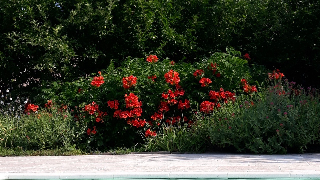Photo of Outdoor in Caderousse