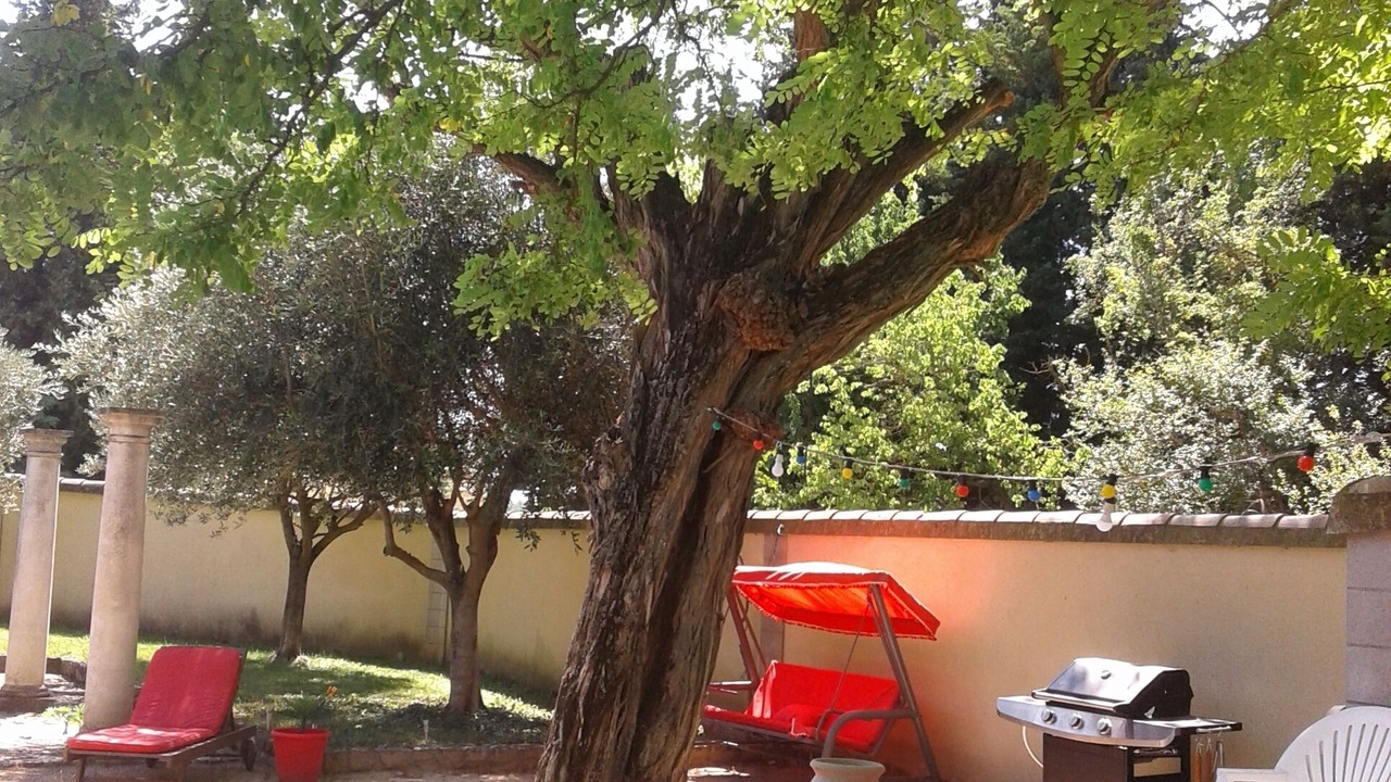 Photo of Outdoor in Caderousse