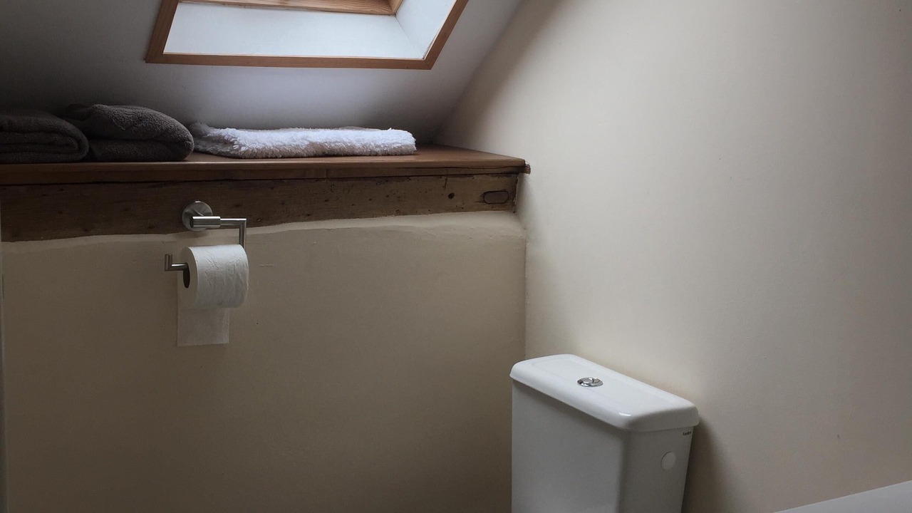 Photo of Bathroom in Couesmes-Vauce