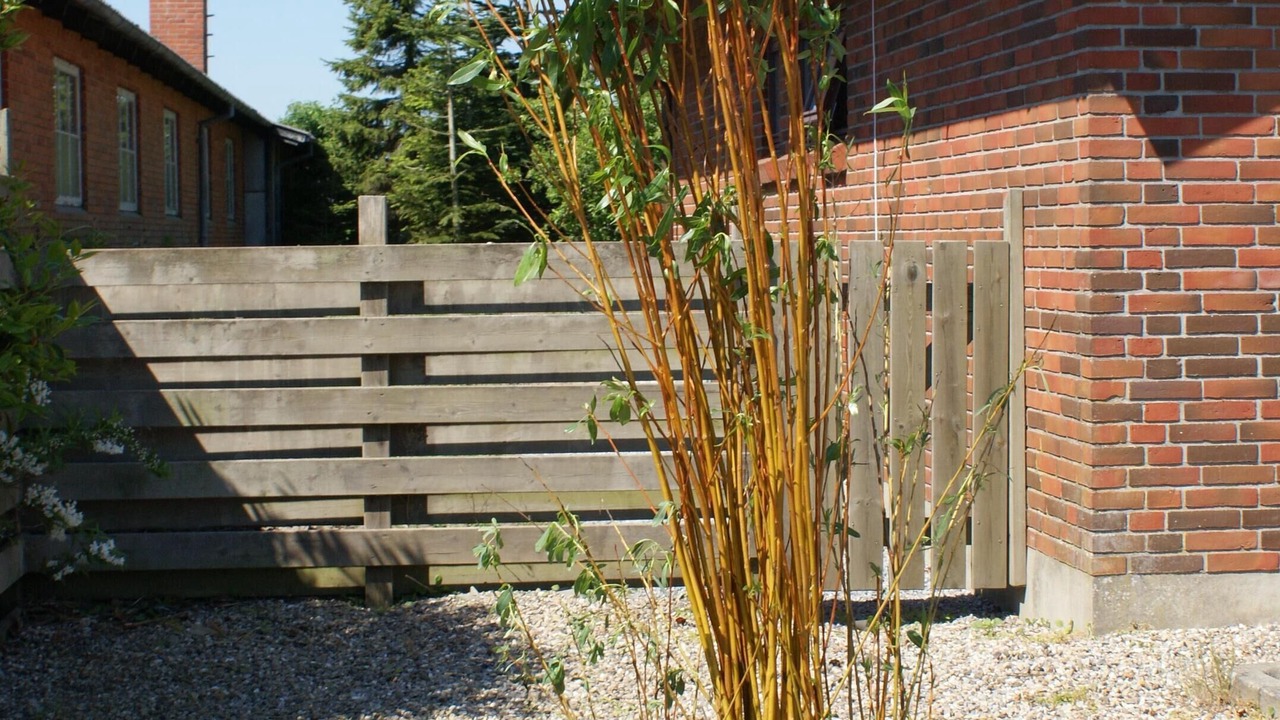 Photo of Outdoor in Sejerslev