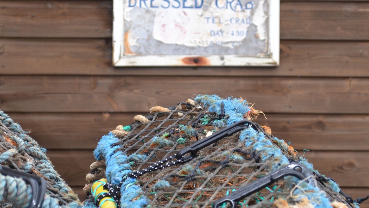 Photo of Others in Crail