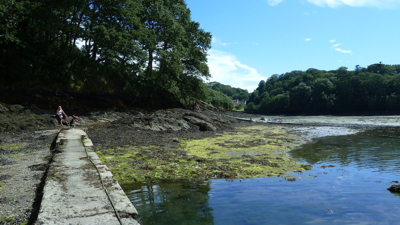 Photo of Others in Mylor Churchtown