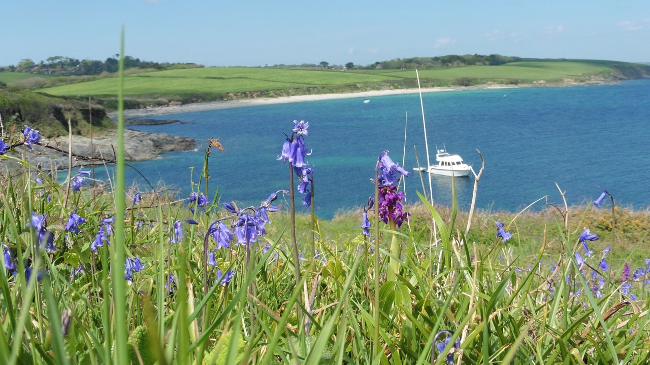 Photo of Others in Mylor Churchtown