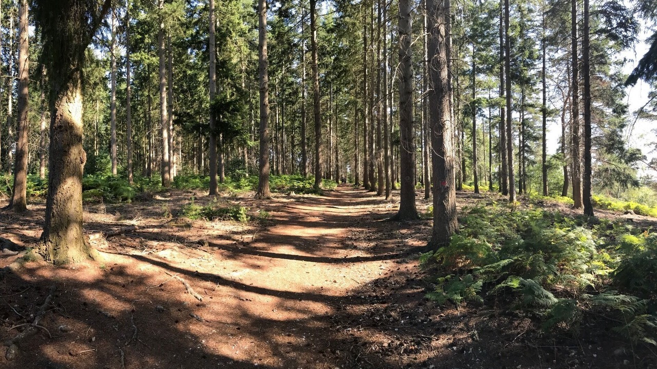 Photo of Outdoor in Nassandres sur Risle