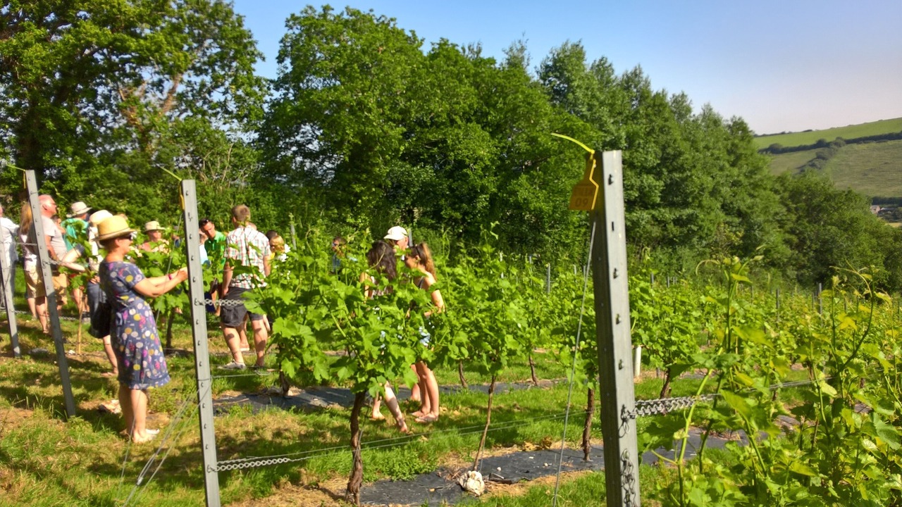 Photo of Others in Stenalees