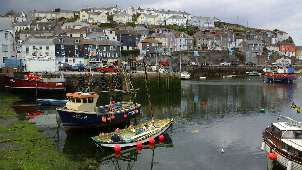 Photo of Others in Stenalees