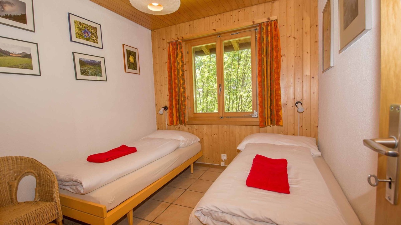 Photo of Others in Adelboden