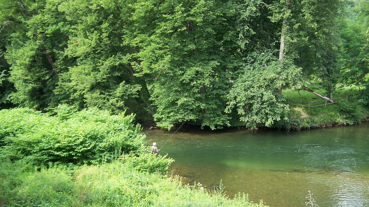 Photo of Others in Luzenac