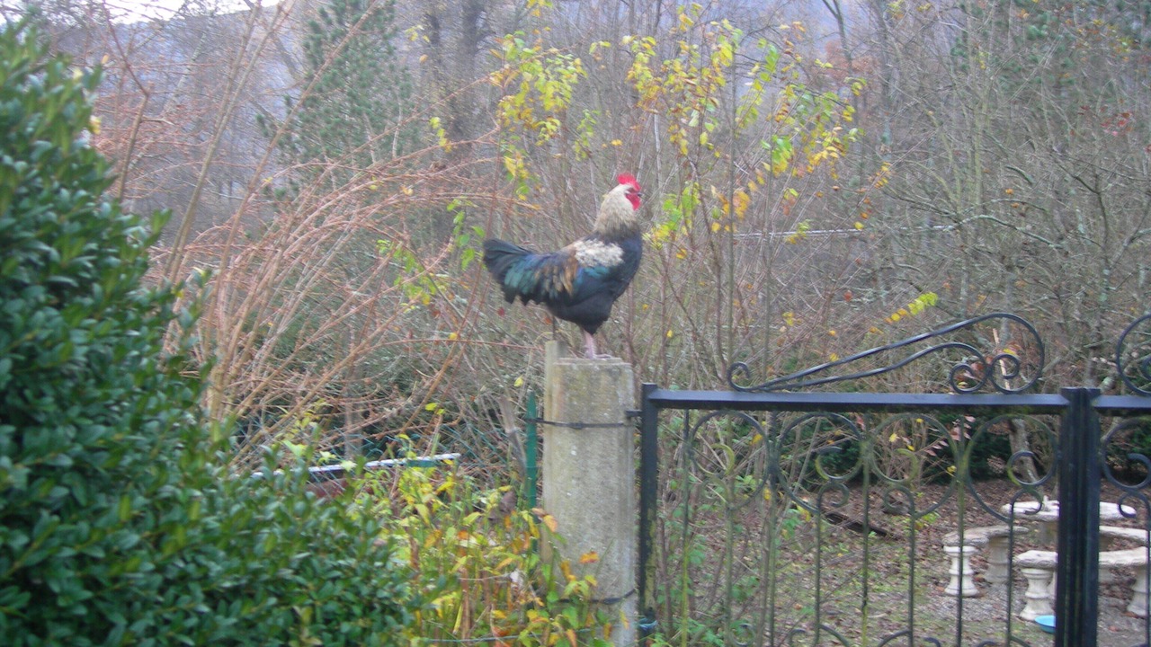 Photo of Outdoor in Luzenac