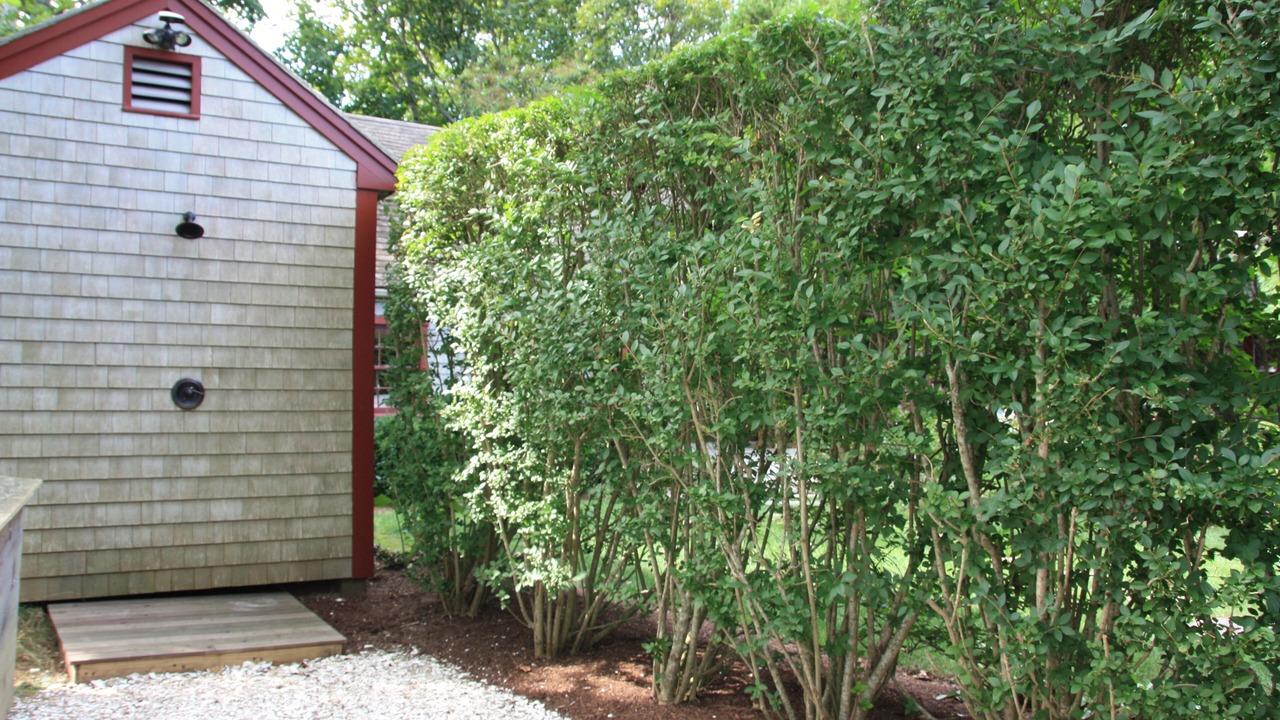 Photo of Outdoor in Nantucket Town