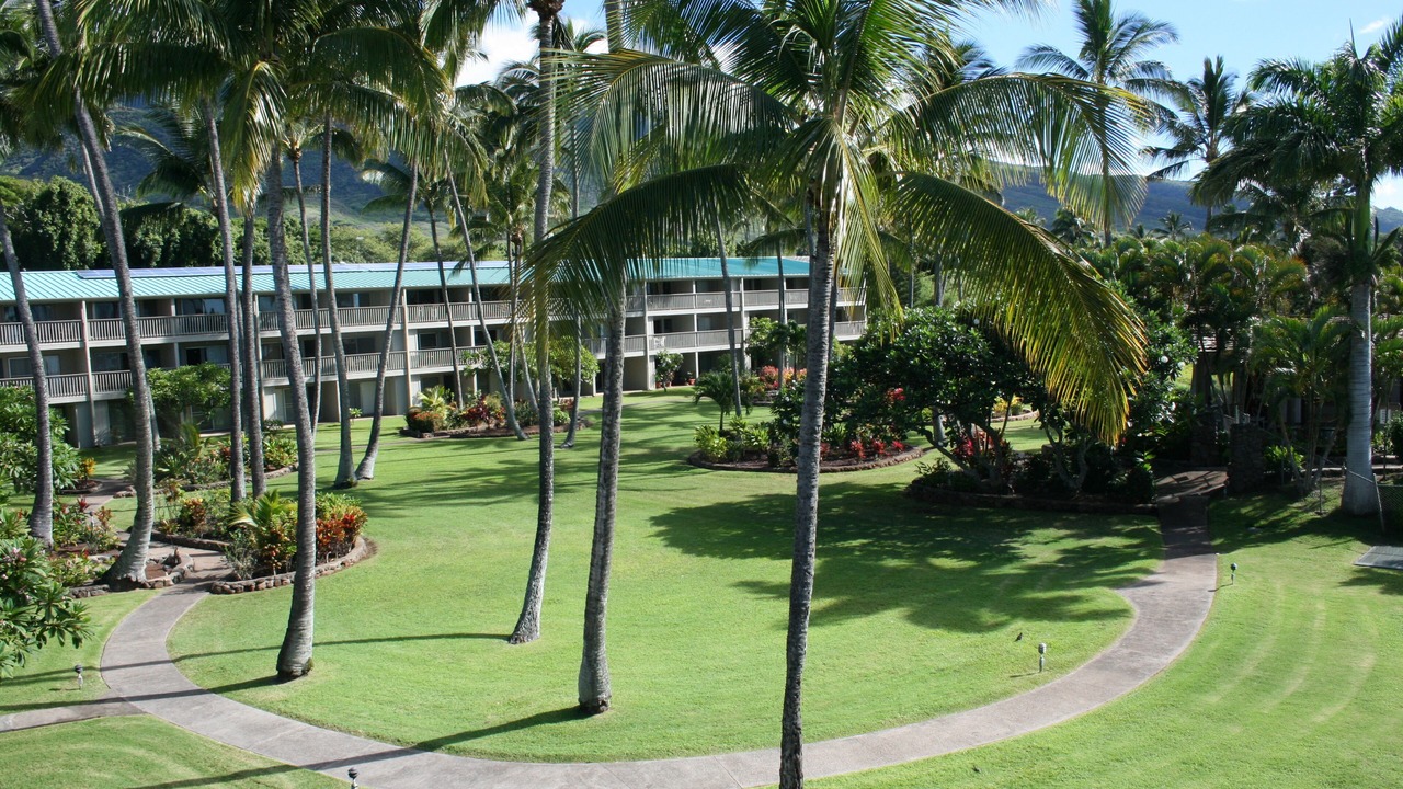 Photo of Others in Ualapue