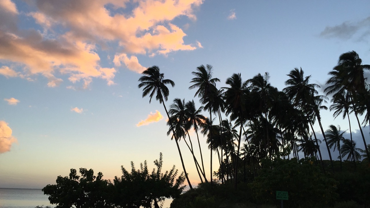 Photo of Others in Ualapue