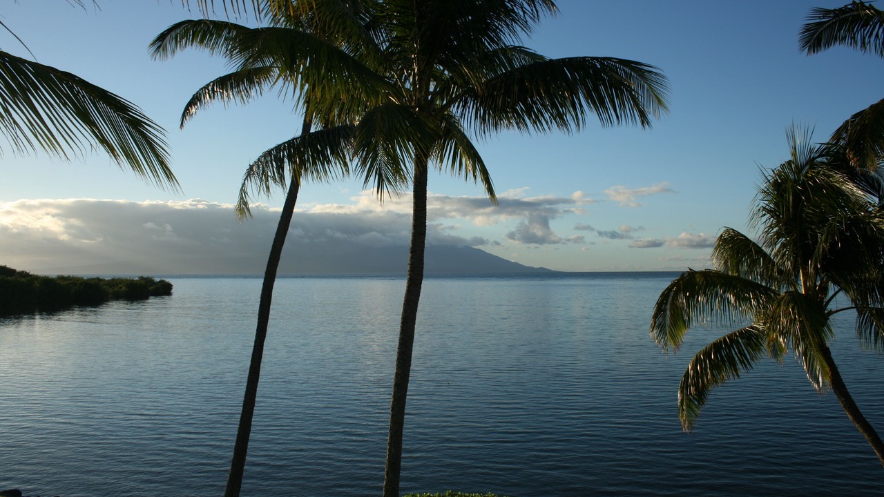 Photo of Others in Ualapue