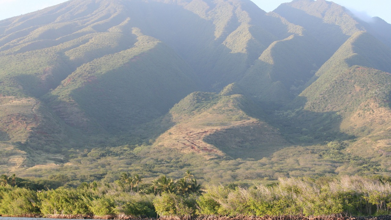 Photo of Others in Ualapue