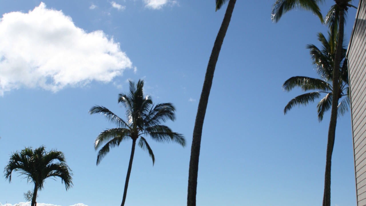 Photo of Others in Ualapue