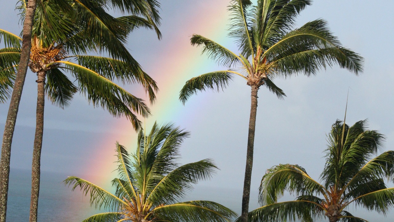 Photo of Others in Ualapue