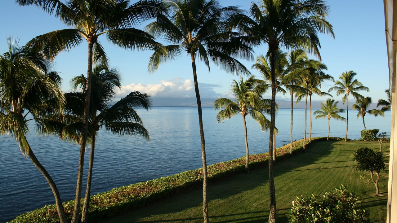 Photo of Others in Ualapue