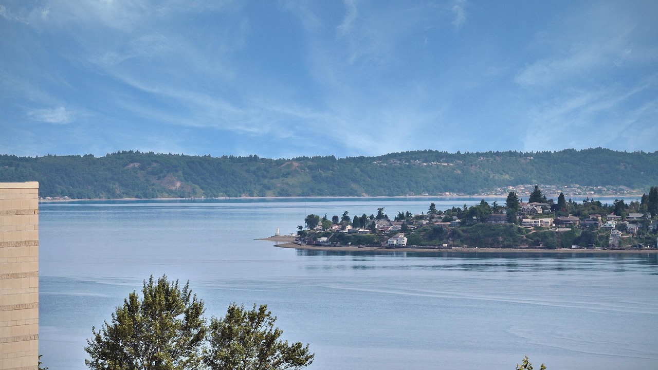 Photo of Others in Stadium District