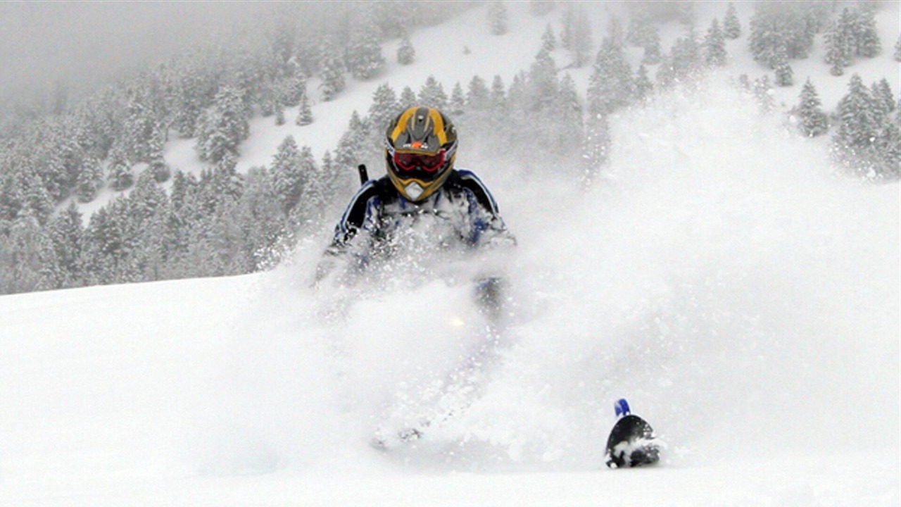 Photo of Others in Heber City