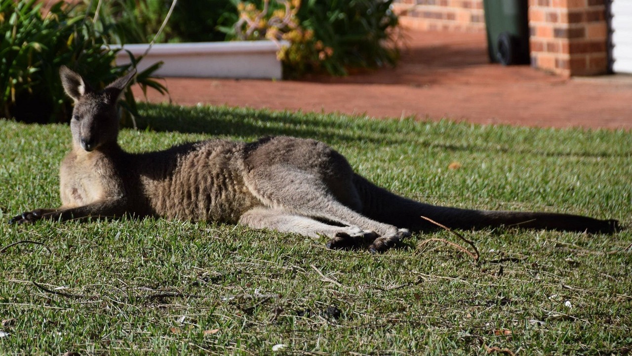 Photo of Outdoor in Manyana
