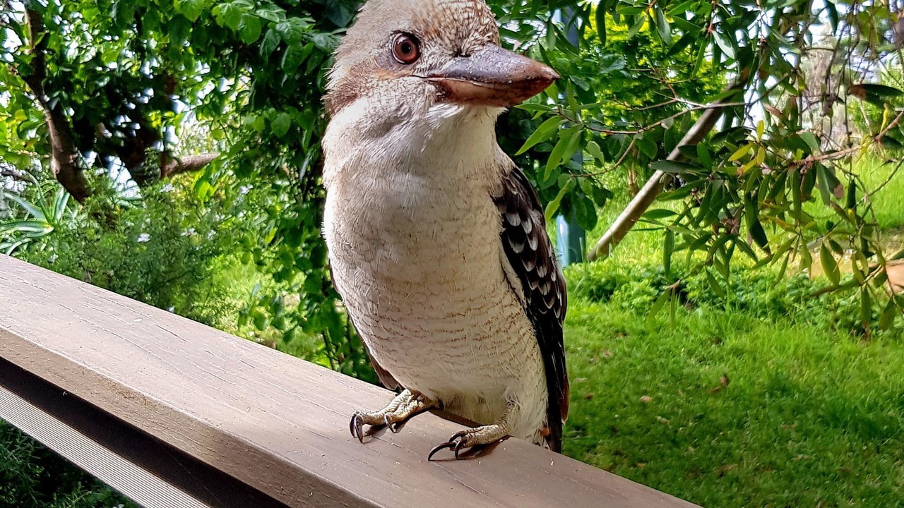 Photo of Outdoor in Manyana