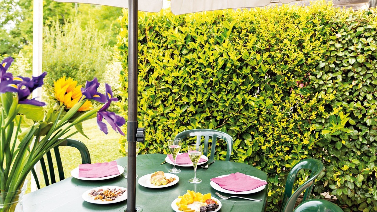 Photo of Others in Bergerac