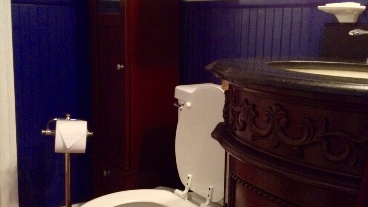 Photo of Bathroom in Eureka Springs Historic District