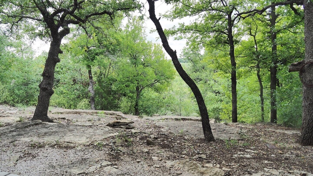 Photo of Outdoor in Eastland