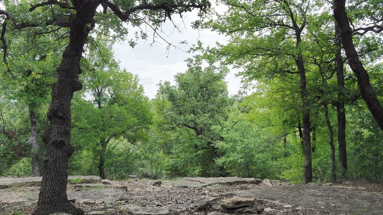 Photo of Outdoor in Eastland