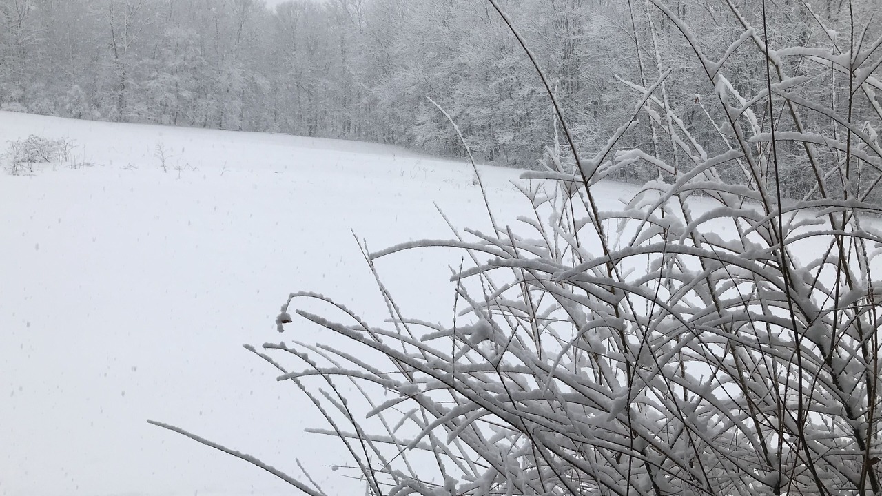 Photo of Others in Richfield Springs