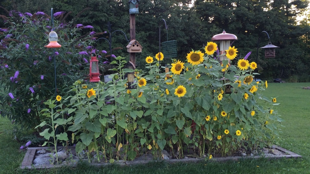 Photo of Outdoor in Richfield Springs