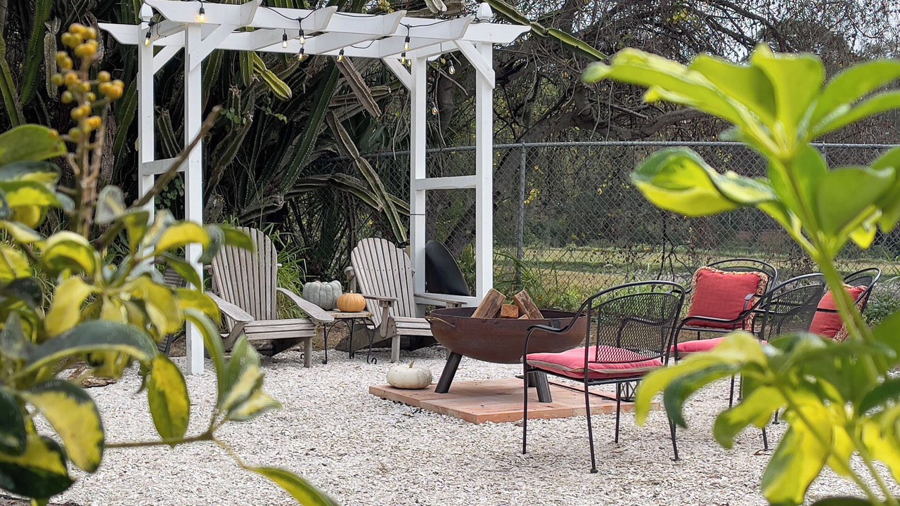 Photo of Others in Safety Harbor