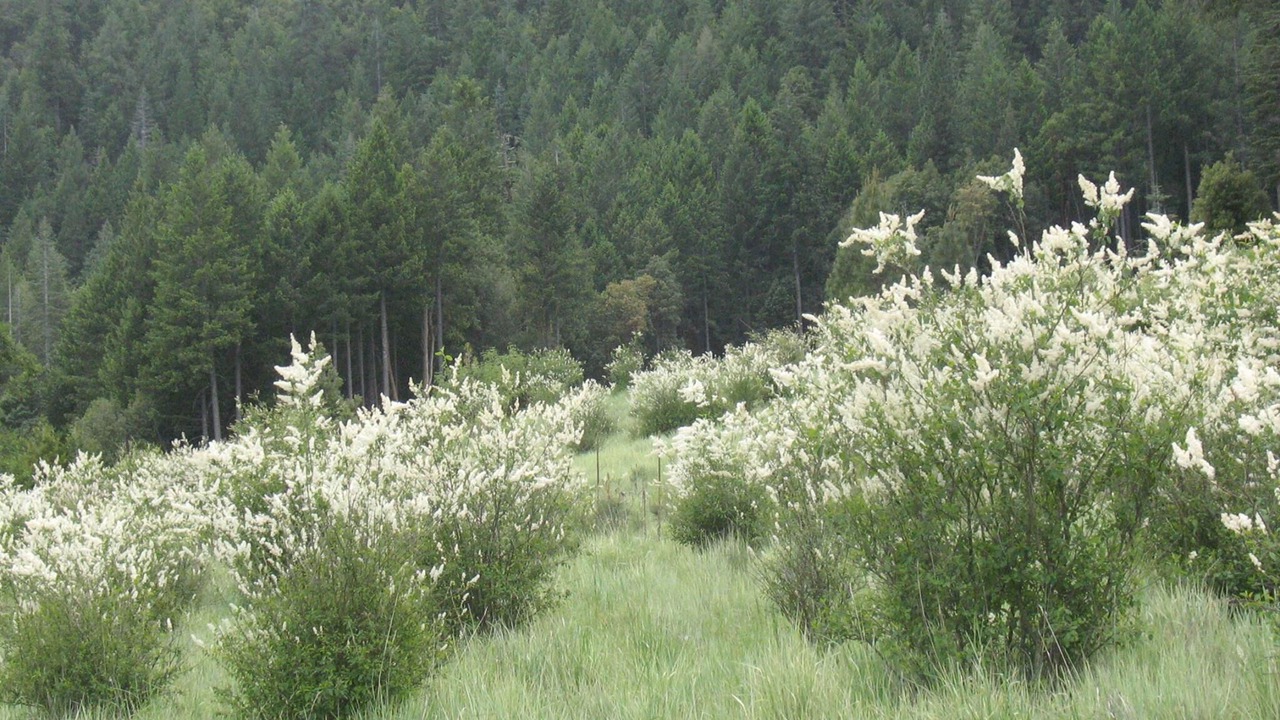Photo of Outdoor in Nevada City