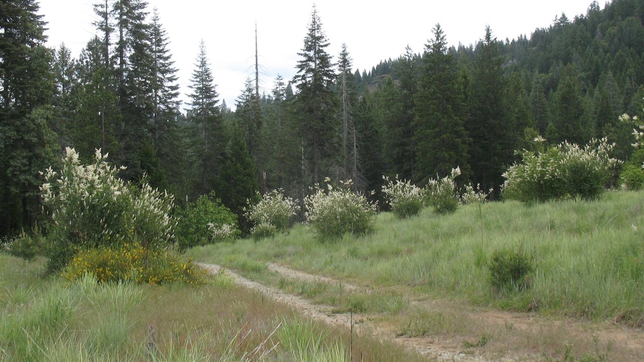 Photo of Outdoor in Nevada City