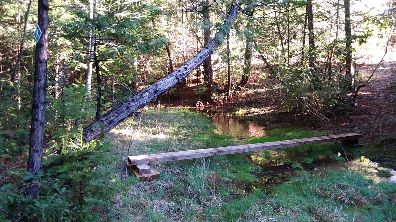 Photo of Others in Nevada City