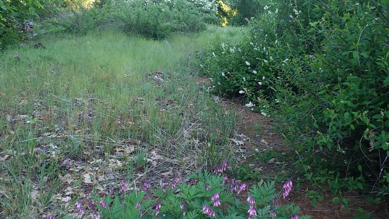 Photo of Outdoor in Nevada City