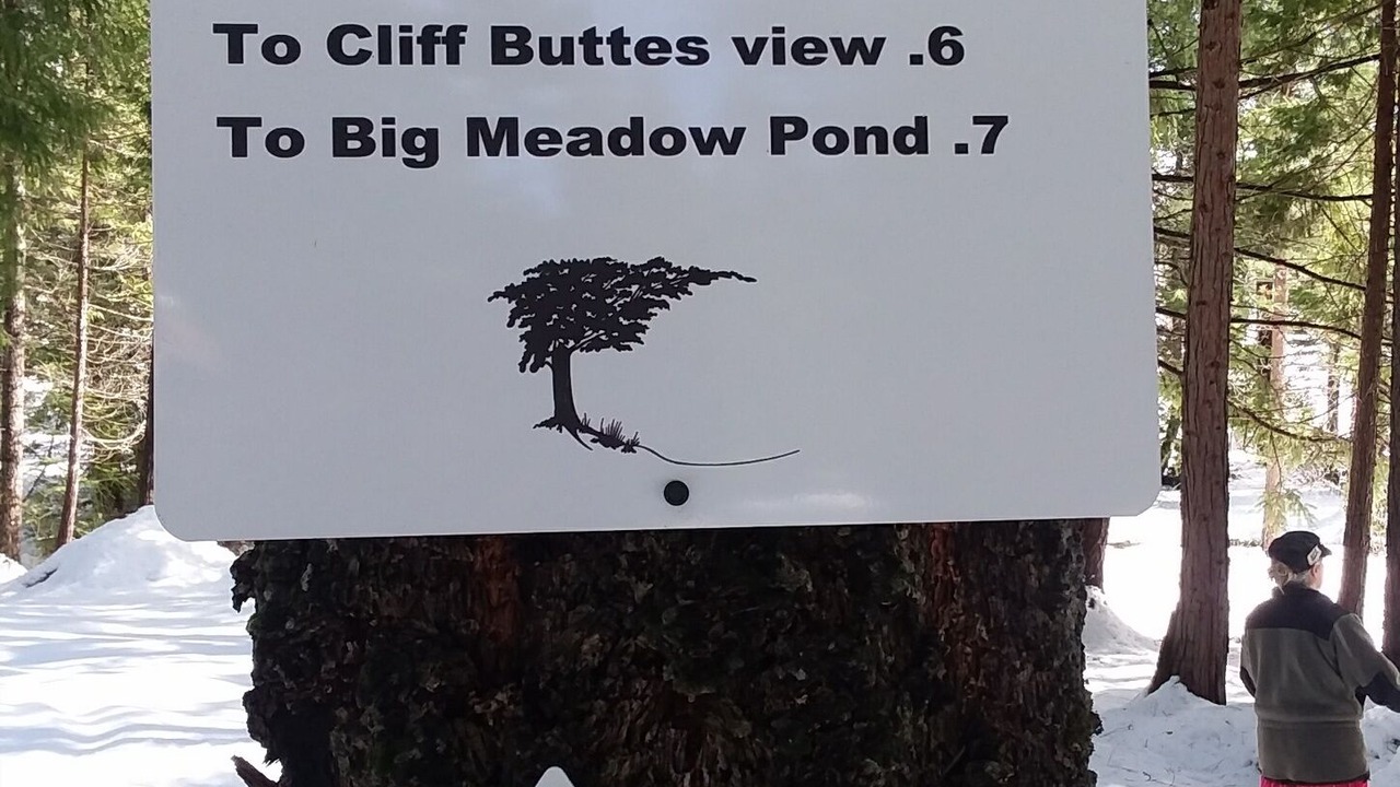 Photo of Outdoor in Nevada City
