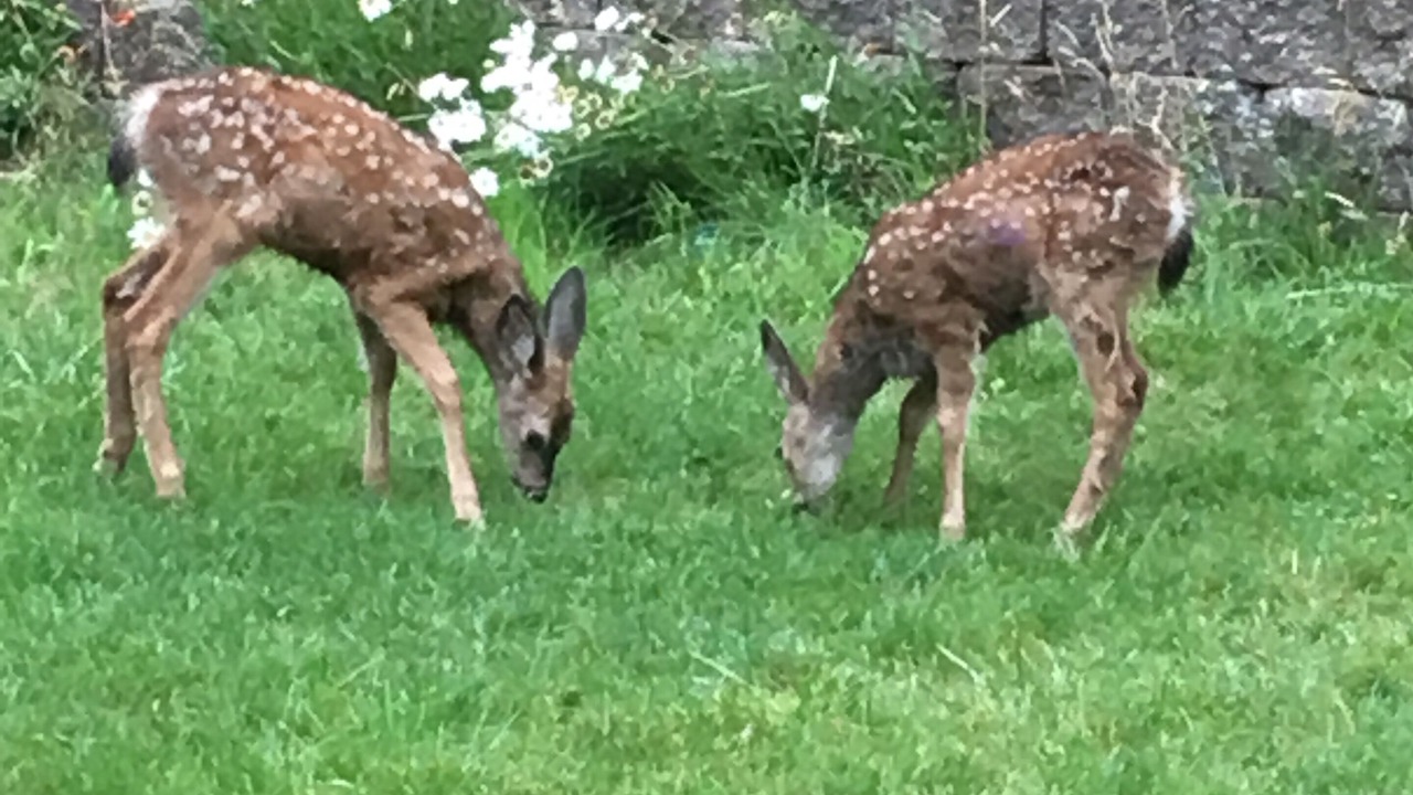 Photo of Others in Klamath Falls