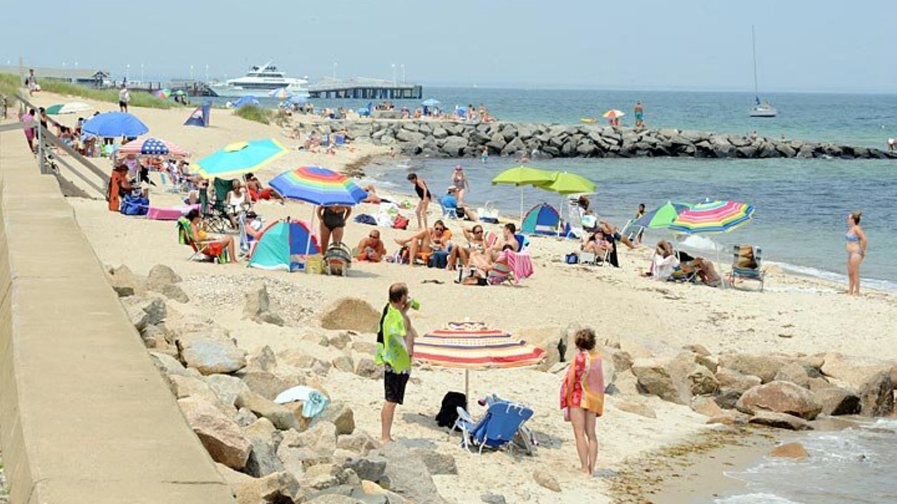 Photo of Others in Oak Bluffs