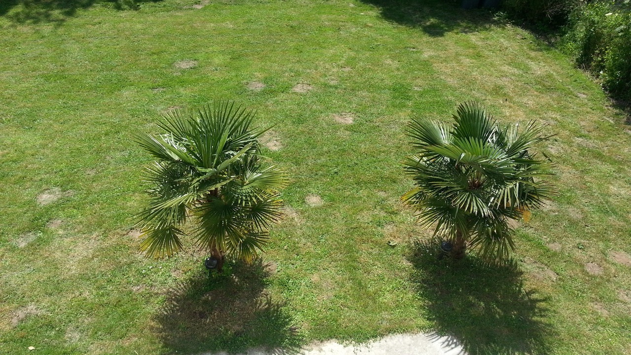 Photo of Outdoor in Hermanville-sur-Mer