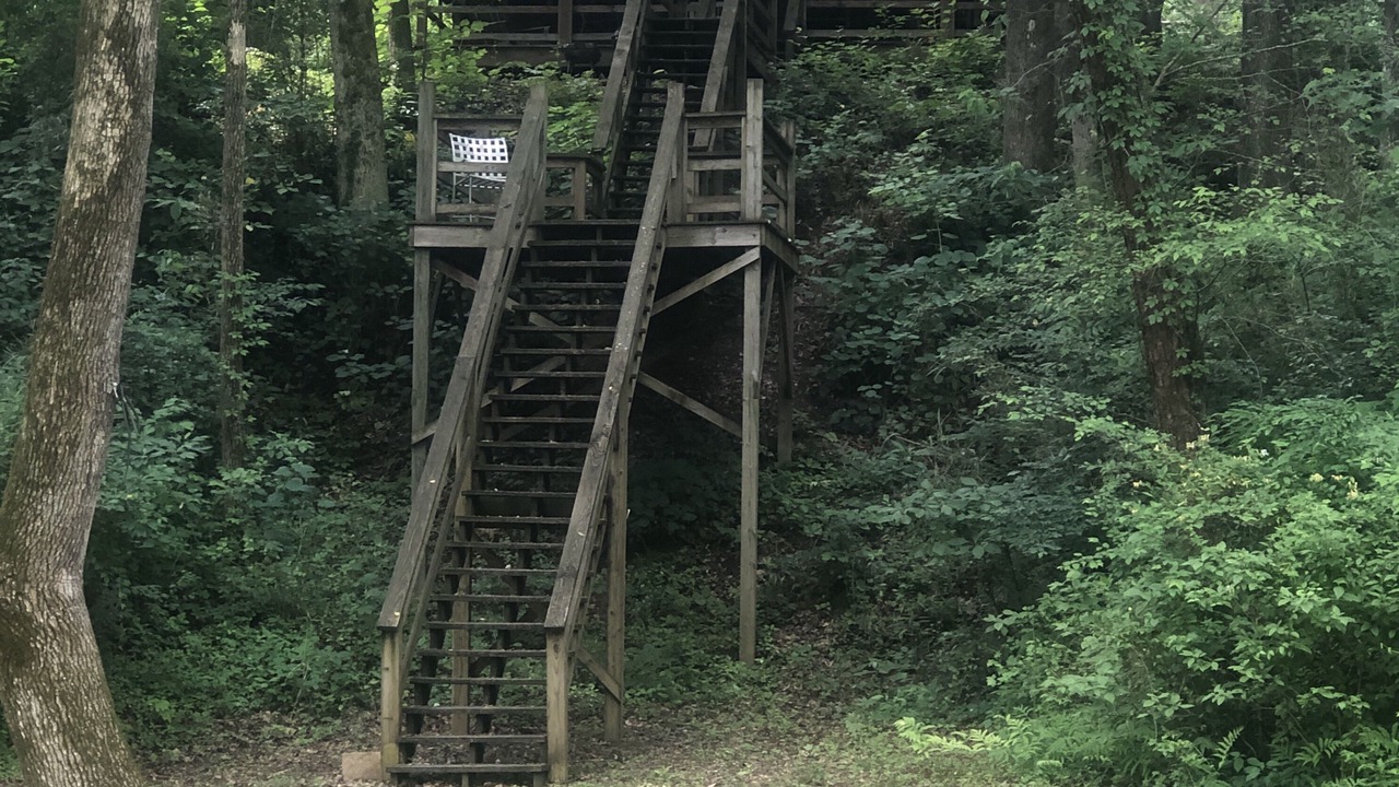 Photo of Outdoor in Wilburn