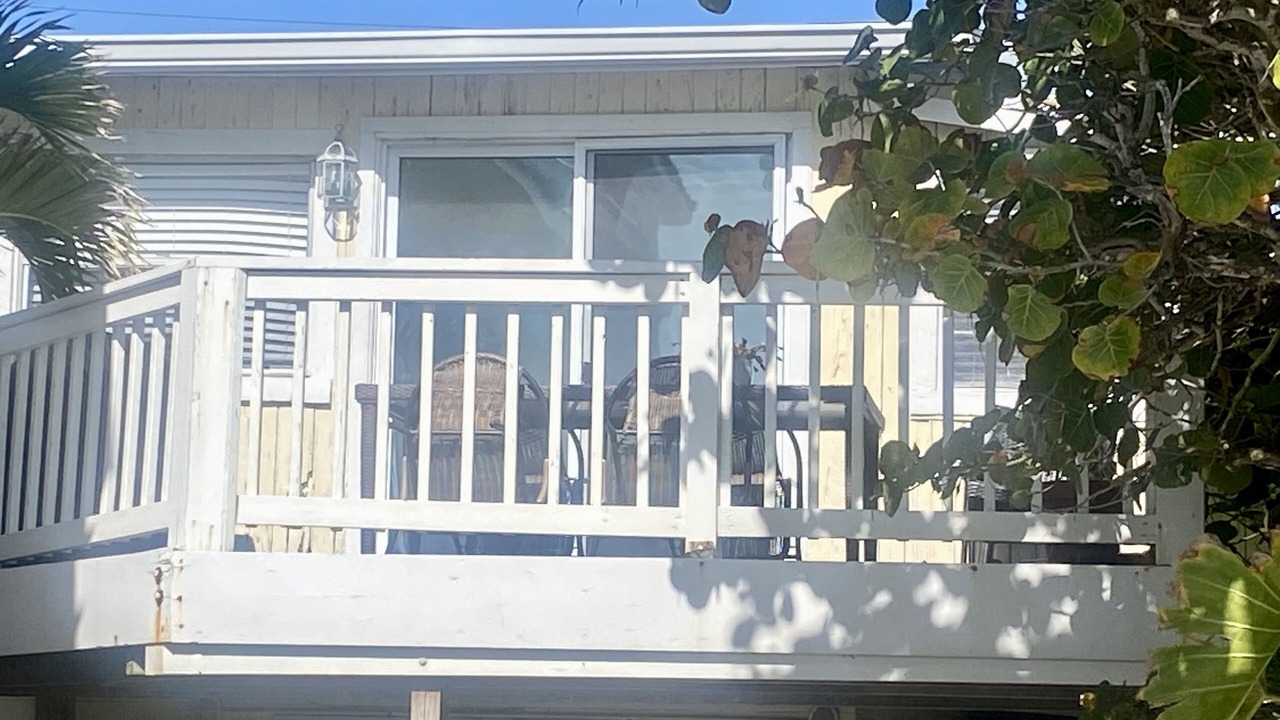 Photo of Others in Ilexhurst