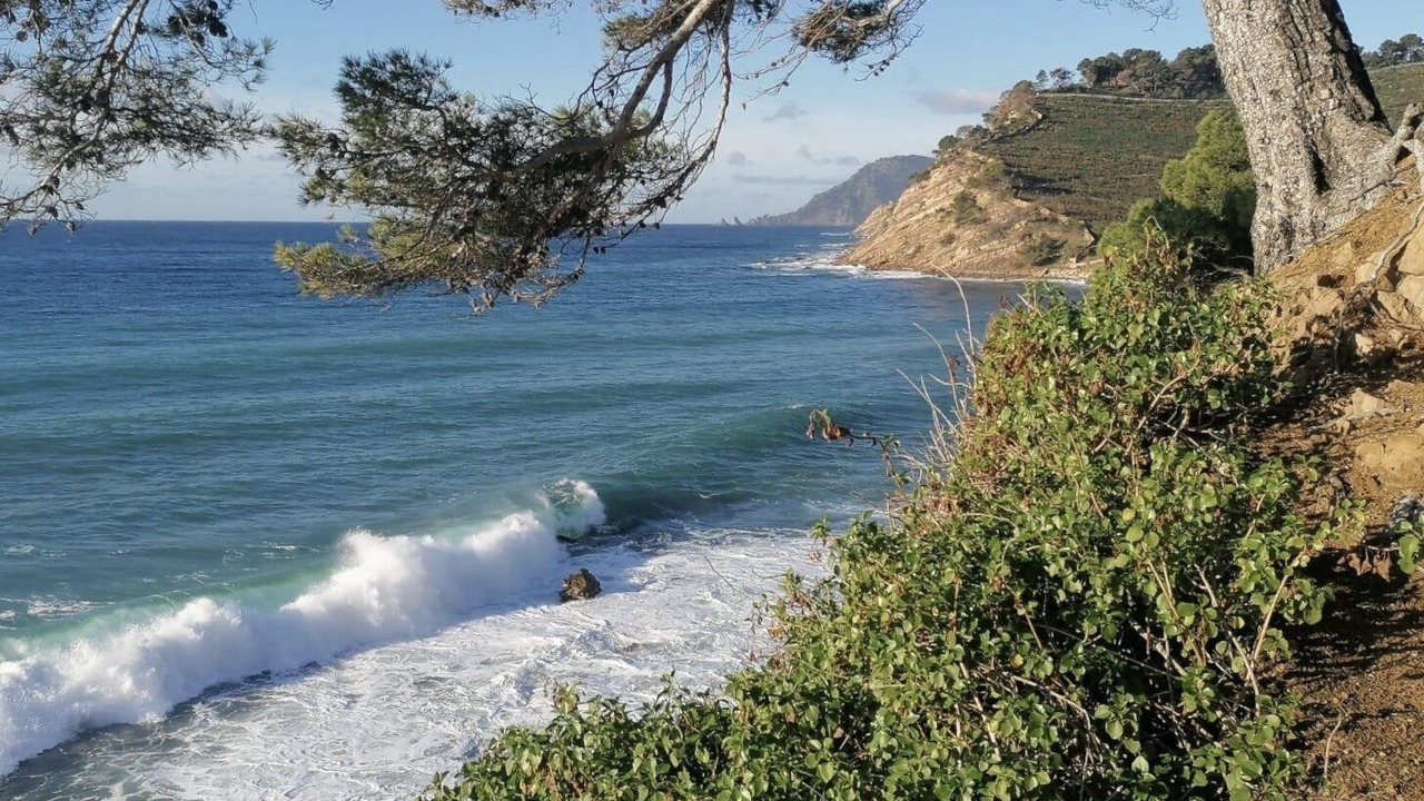 Photo of Others in Saint-Mandrier-sur-Mer