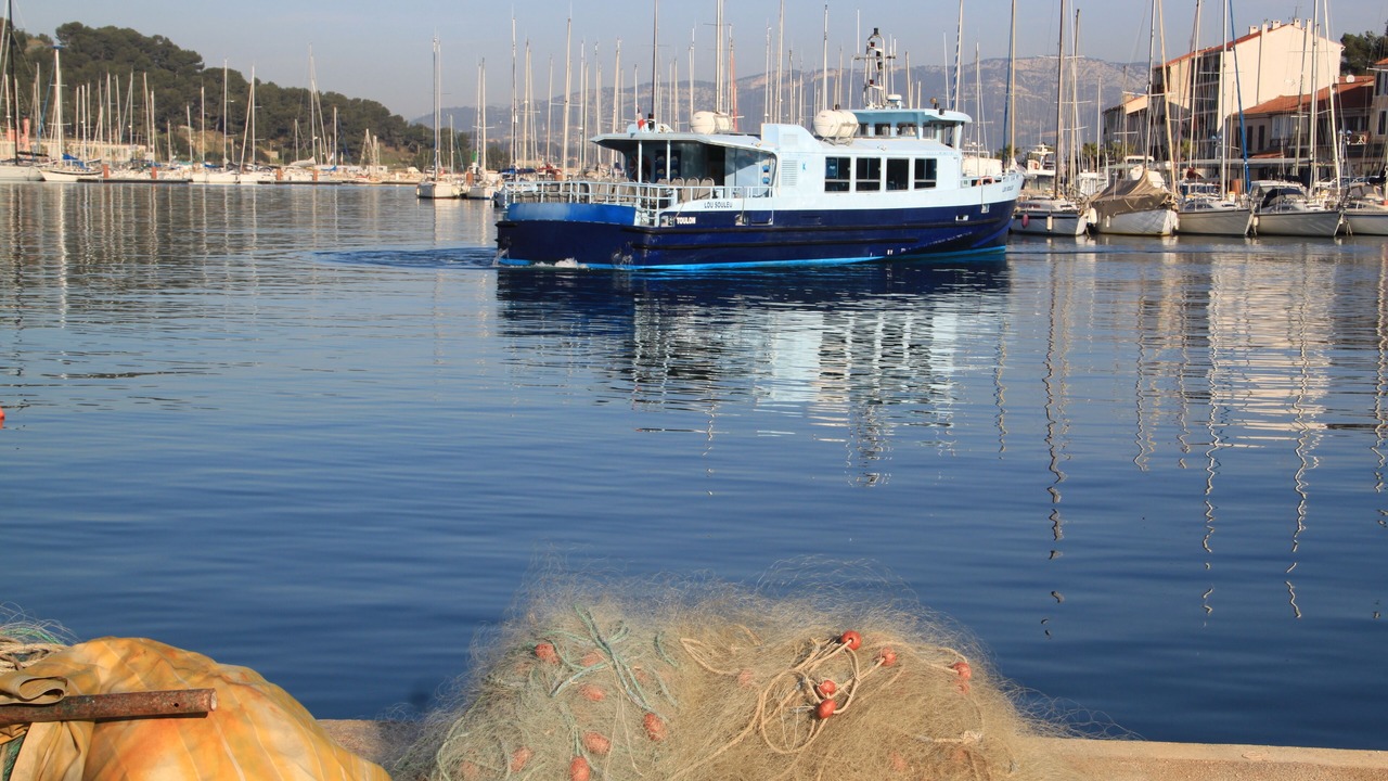 Photo of Others in Saint-Mandrier-sur-Mer