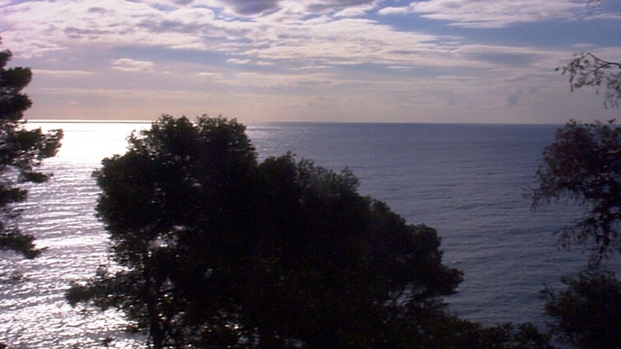 Photo of Others in Saint-Mandrier-sur-Mer