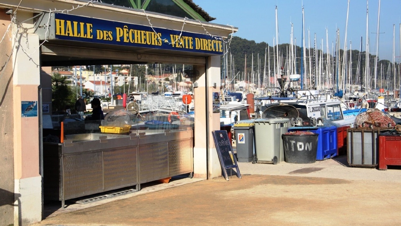 Photo of Others in Saint-Mandrier-sur-Mer