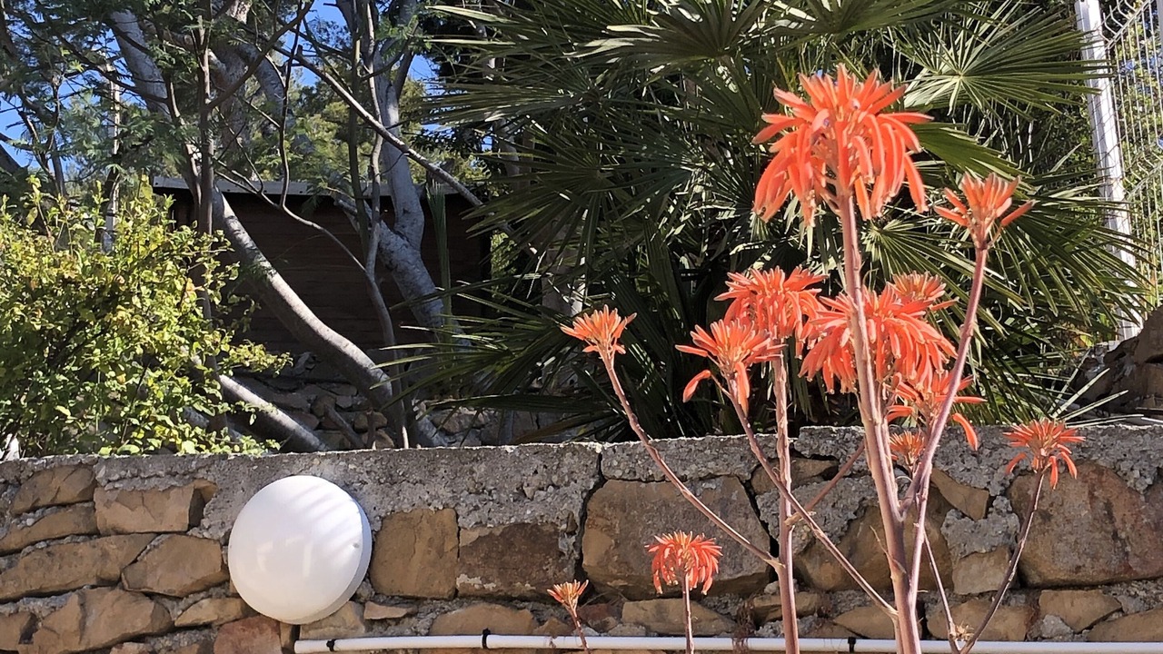 Photo of Outdoor in Saint-Mandrier-sur-Mer