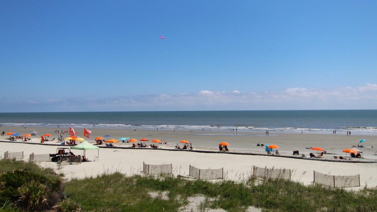 Photo of Others in Folly Beach