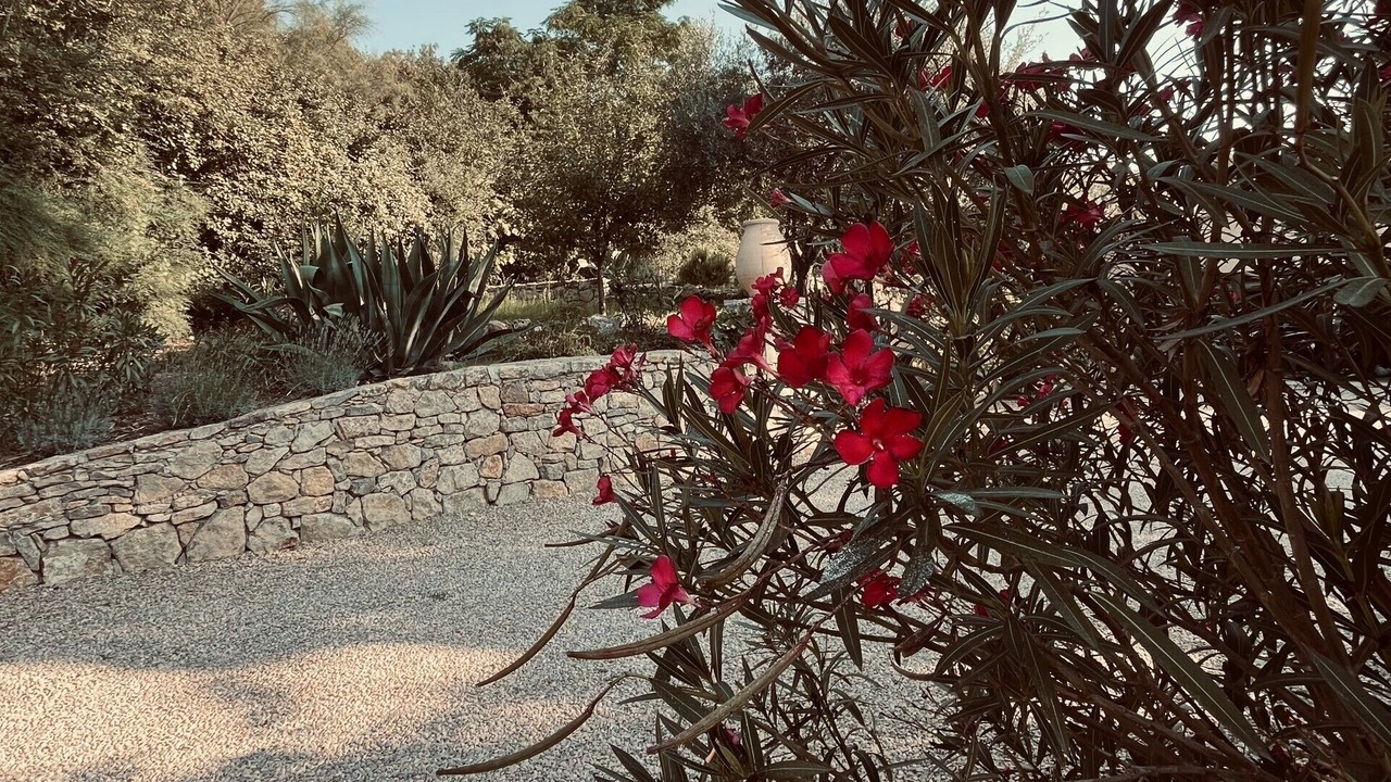 Photo of Outdoor in Bargemon