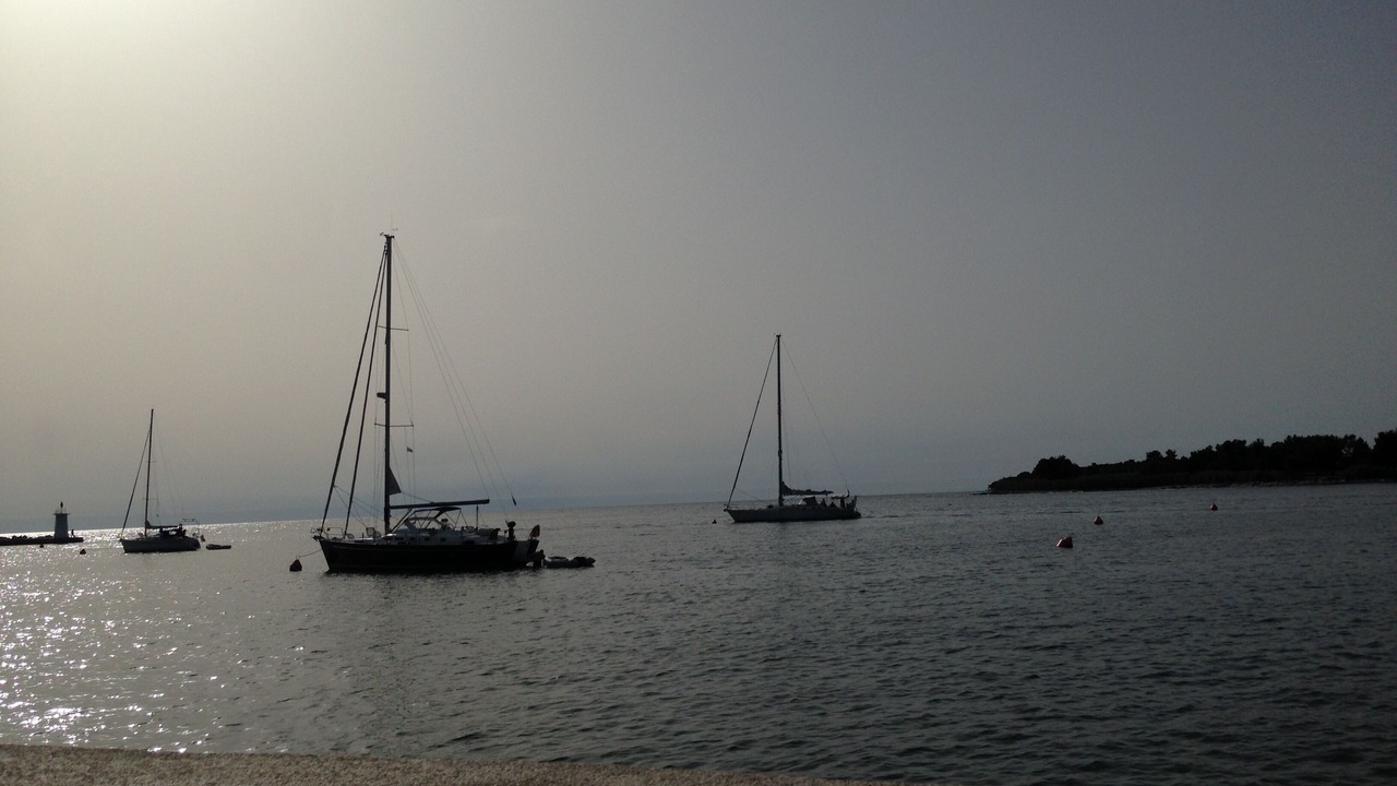 Photo of Others in Novigrad